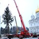 Автокран Liebherr LTM 1100 на установке елки в Кремле