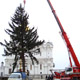 Автокран Liebherr LTM 1100 на установке елки в Кремле
